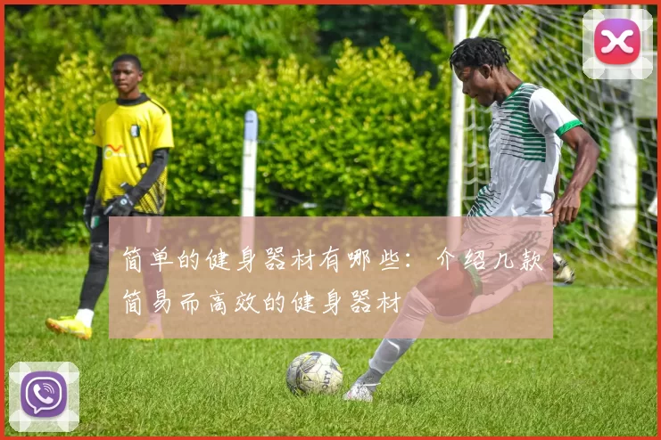 简单的健身器材有哪些：介绍几款简易而高效的健身器材