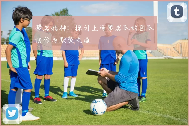 攀岩精神：探讨上海攀岩队的团队协作与默契之道