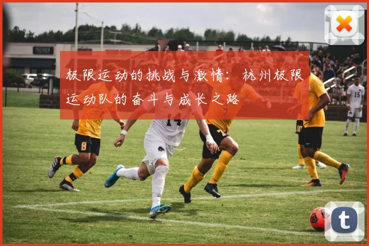 极限运动的挑战与激情：杭州极限运动队的奋斗与成长之路