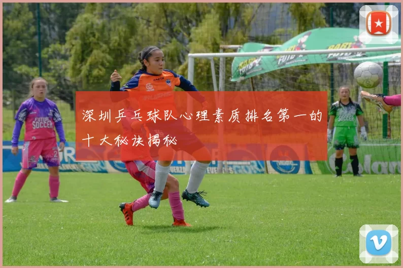 深圳乒乓球队心理素质排名第一的十大秘诀揭秘