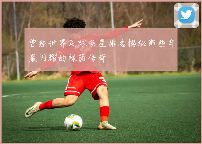 曾经世界足球明星排名揭秘那些年最闪耀的绿茵传奇