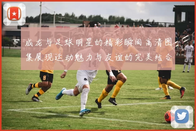 成龙与足球明星的精彩瞬间高清图集展现运动魅力与友谊的完美结合