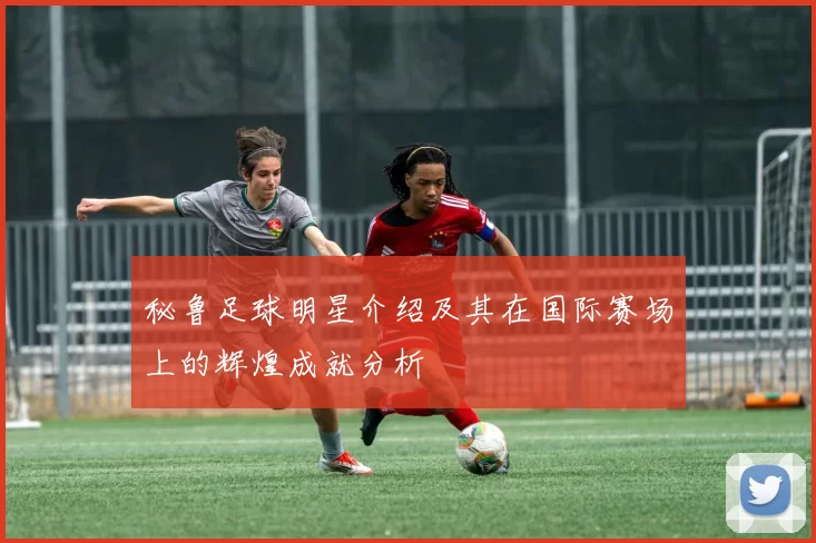 秘鲁足球明星介绍及其在国际赛场上的辉煌成就分析