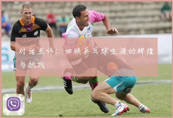 对话王伟：回顾乒乓球生涯的辉煌与挑战