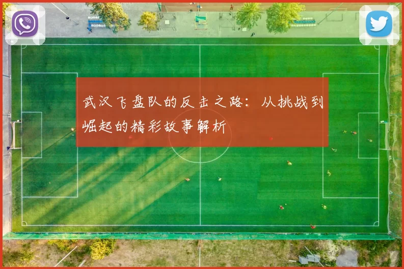 武汉飞盘队的反击之路：从挑战到崛起的精彩故事解析
