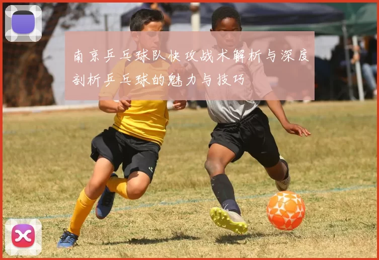 南京乒乓球队快攻战术解析与深度剖析乒乓球的魅力与技巧