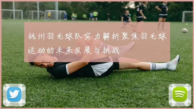 杭州羽毛球队实力解析聚焦羽毛球运动的未来发展与挑战