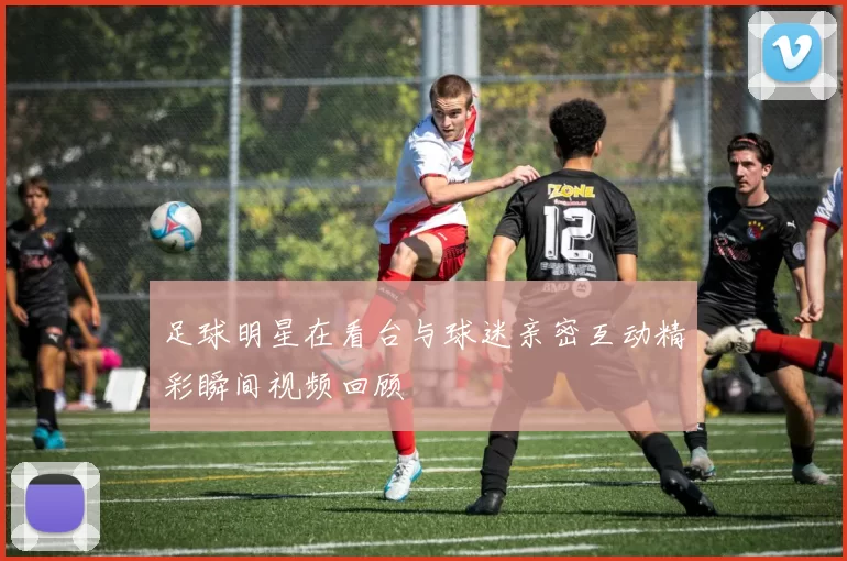 足球明星在看台与球迷亲密互动精彩瞬间视频回顾