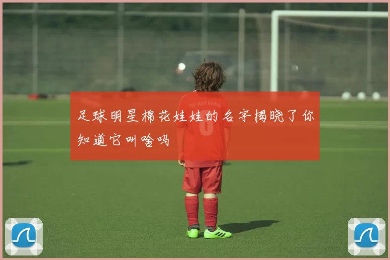 足球明星棉花娃娃的名字揭晓了你知道它叫啥吗