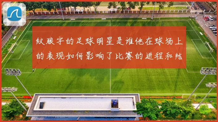 纹狼字的足球明星是谁他在球场上的表现如何影响了比赛的进程和结果