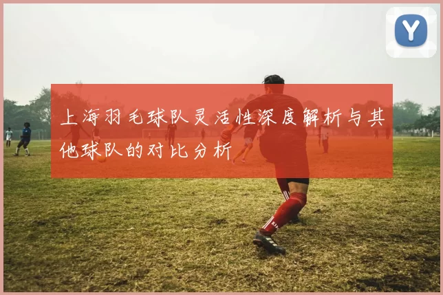 上海羽毛球队灵活性深度解析与其他球队的对比分析