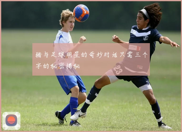 猪与足球明星的奇妙对话只需三个字的秘密揭秘