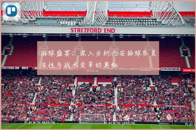 排球盛宴：深入分析西安排球队灵活性与战术变革的奥秘