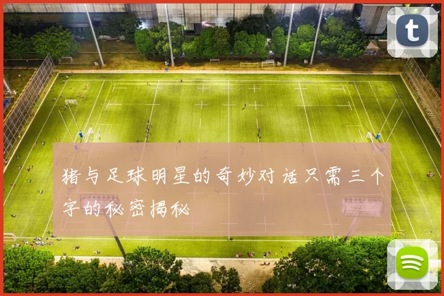 猪与足球明星的奇妙对话只需三个字的秘密揭秘