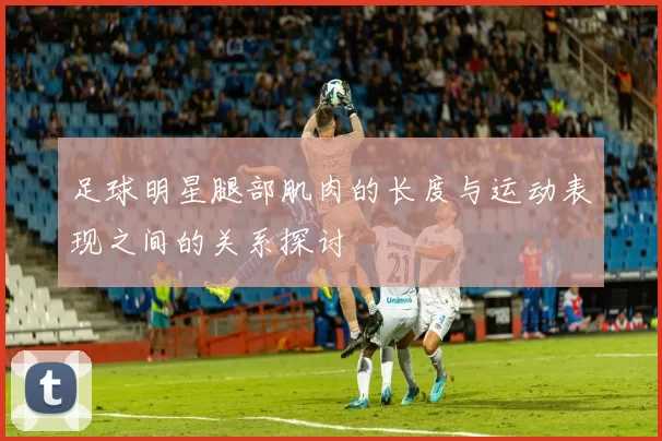 足球明星腿部肌肉的长度与运动表现之间的关系探讨