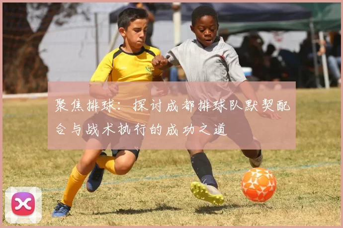 聚焦排球：探讨成都排球队默契配合与战术执行的成功之道