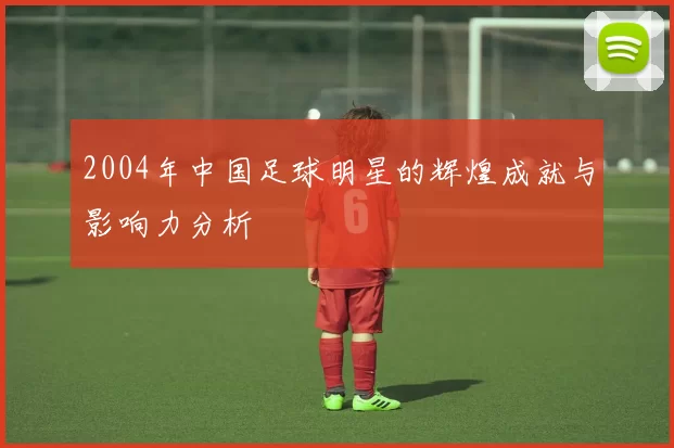 2004年中国足球明星的辉煌成就与影响力分析