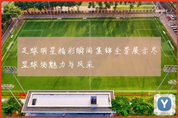 足球明星精彩瞬间集锦全景展示尽显球场魅力与风采
