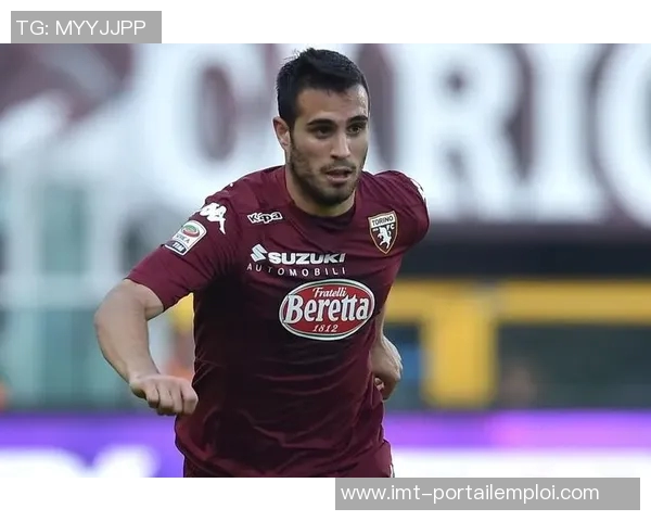 意甲常驻球队名单及赛季出勤率统计