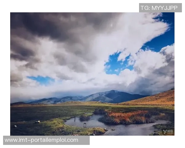 刘娜独家揭秘攀岩技巧与心得分享助你提升攀爬水平