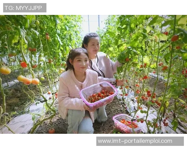 果园采摘乐趣无限，畅游自然田园体验丰收的喜悦与美好时光